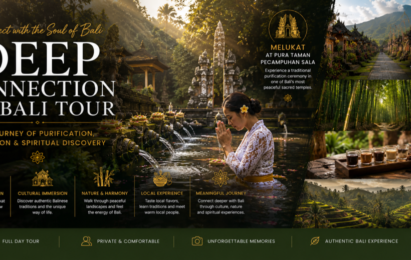 Deep Connection to Bali Tour